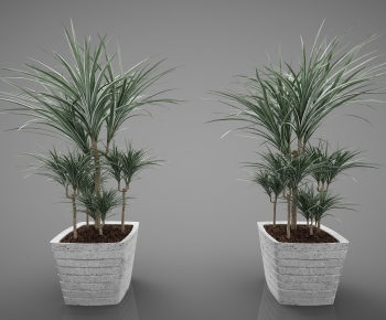 Modern Potted Green Plant-ID:109136529