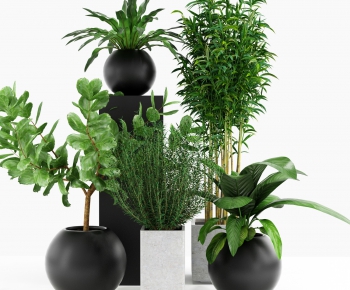 Modern Potted Green Plant-ID:881464251