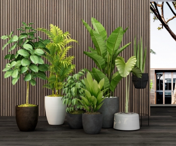 Modern Potted Green Plant-ID:337308229