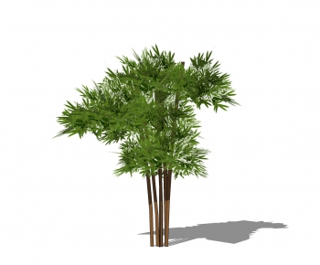 Modern Bamboo-ID:970812172