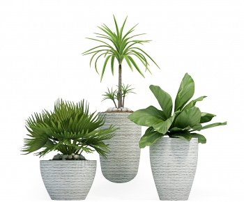 Modern Potted Green Plant-ID:582472588