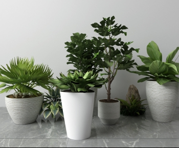 Modern Potted Green Plant-ID:683969697