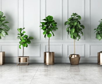 Modern Potted Green Plant-ID:625497267