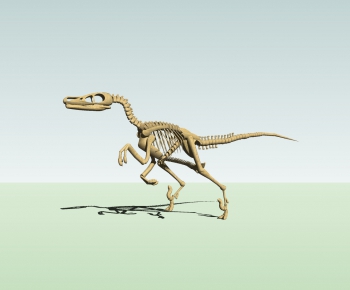 现代恐龙骨骼化石摆件-ID:715337962