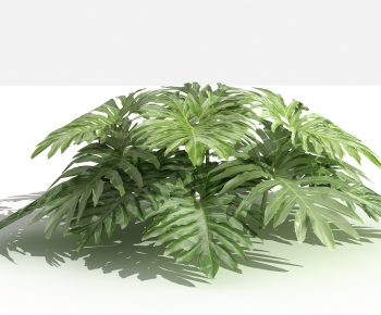 Modern Shrubbery-ID:892390932