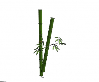 Modern Bamboo-ID:283972388