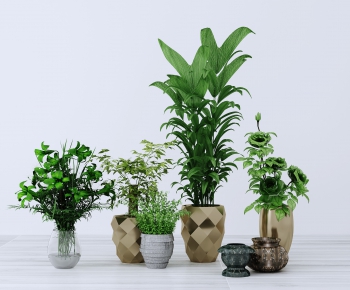 Modern Potted Green Plant-ID:479429366