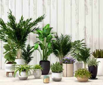 Modern Potted Green Plant-ID:925884234