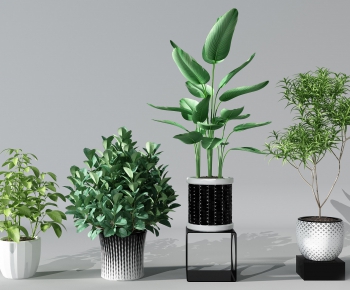 Modern Potted Green Plant-ID:707317555