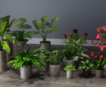 Modern Potted Green Plant-ID:243343712