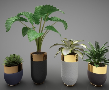 Modern Potted Green Plant-ID:550280578