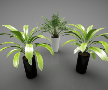 Modern Potted Green Plant-ID:787897429