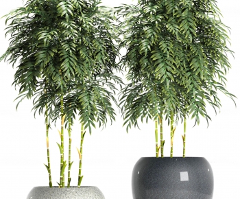 Modern Potted Green Plant-ID:411971333