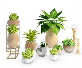 Modern Potted Green Plant-ID:760301244