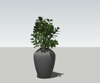 Modern Potted Green Plant-ID:371467237