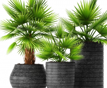 Modern Potted Green Plant-ID:570248214