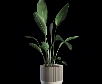 Modern Potted Green Plant-ID:619075876