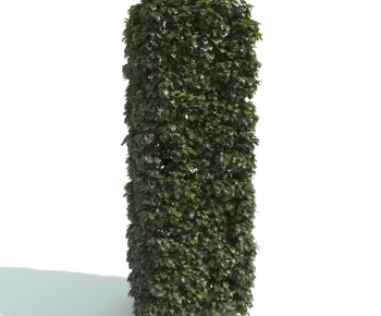 Modern Shrubbery-ID:594962439