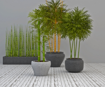 Modern Potted Green Plant-ID:786399837