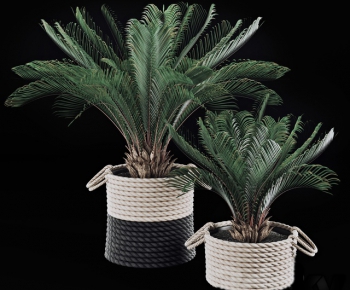 Modern Potted Green Plant-ID:738916451