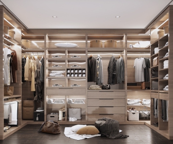 Modern Clothes Storage Area-ID:356412784