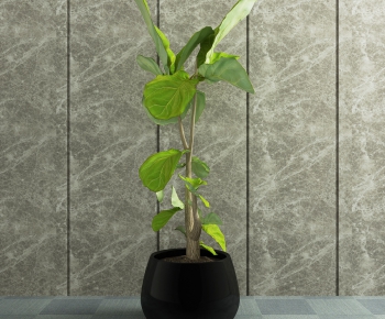 Modern Potted Green Plant-ID:911743157