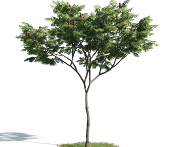 Modern Tree-ID:875814828