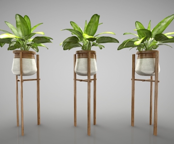 Modern Potted Green Plant-ID:647270927