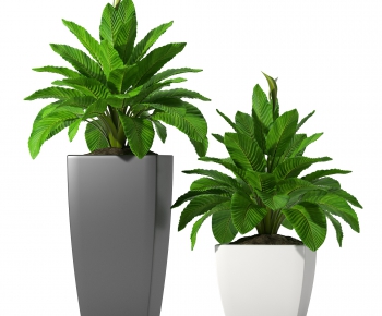 Modern Potted Green Plant-ID:321595648