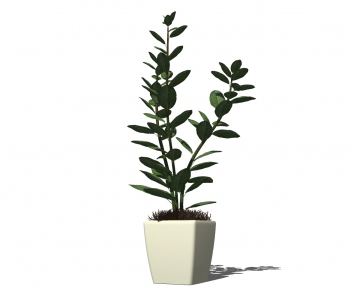Modern Potted Green Plant-ID:272497643