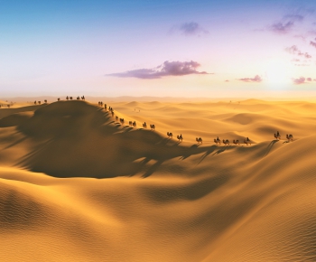 现代沙漠骆驼沙子-ID:992580364