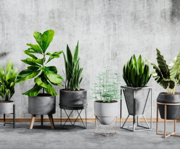 Modern Potted Green Plant-ID:261199295