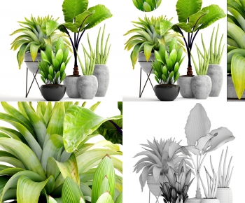 Modern Potted Green Plant-ID:726076765