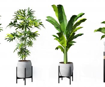 Modern Potted Green Plant-ID:221038828