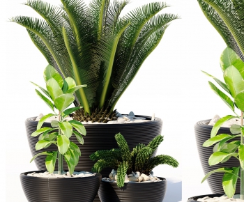 Modern Potted Green Plant-ID:936435856