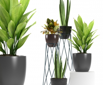 Modern Potted Green Plant-ID:187055225