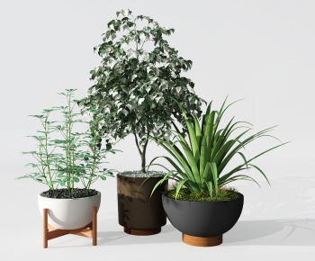 Modern Potted Green Plant-ID:753711158