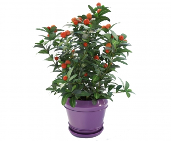 Modern Potted Green Plant-ID:813078219