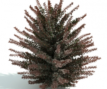 Modern Shrubbery-ID:562373923