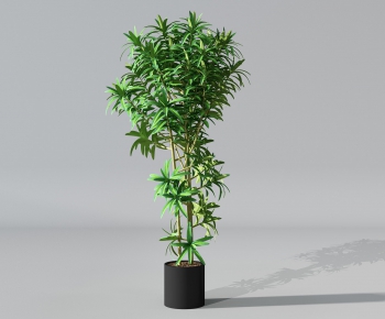 Modern Potted Green Plant-ID:664247929