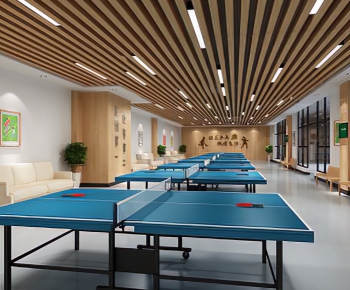 VR现代乒乓球室-ID:996760623