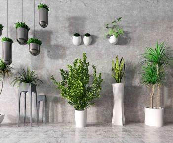 Modern Potted Green Plant-ID:797350192