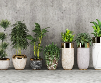 Modern Potted Green Plant-ID:934651412