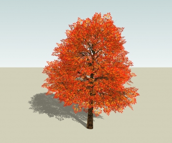 Modern Tree-ID:193159884