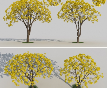 Modern Tree-ID:840537534