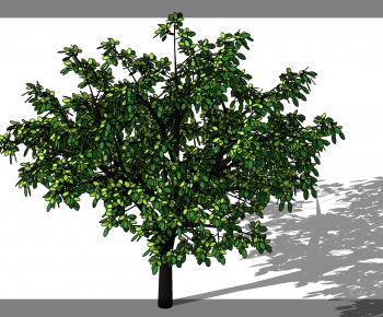 Modern Tree-ID:160056258