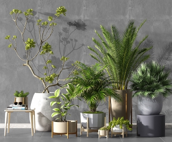 Modern Potted Green Plant-ID:532430713