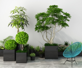 Modern Potted Green Plant-ID:978192365