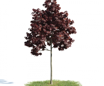 Modern Tree-ID:152079164