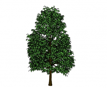 Modern Tree-ID:313577711